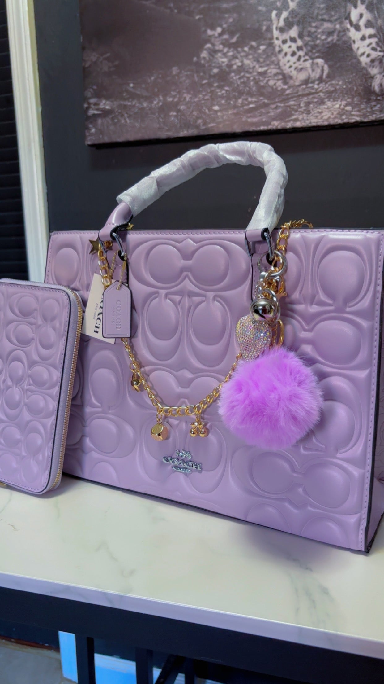 Coach tote set