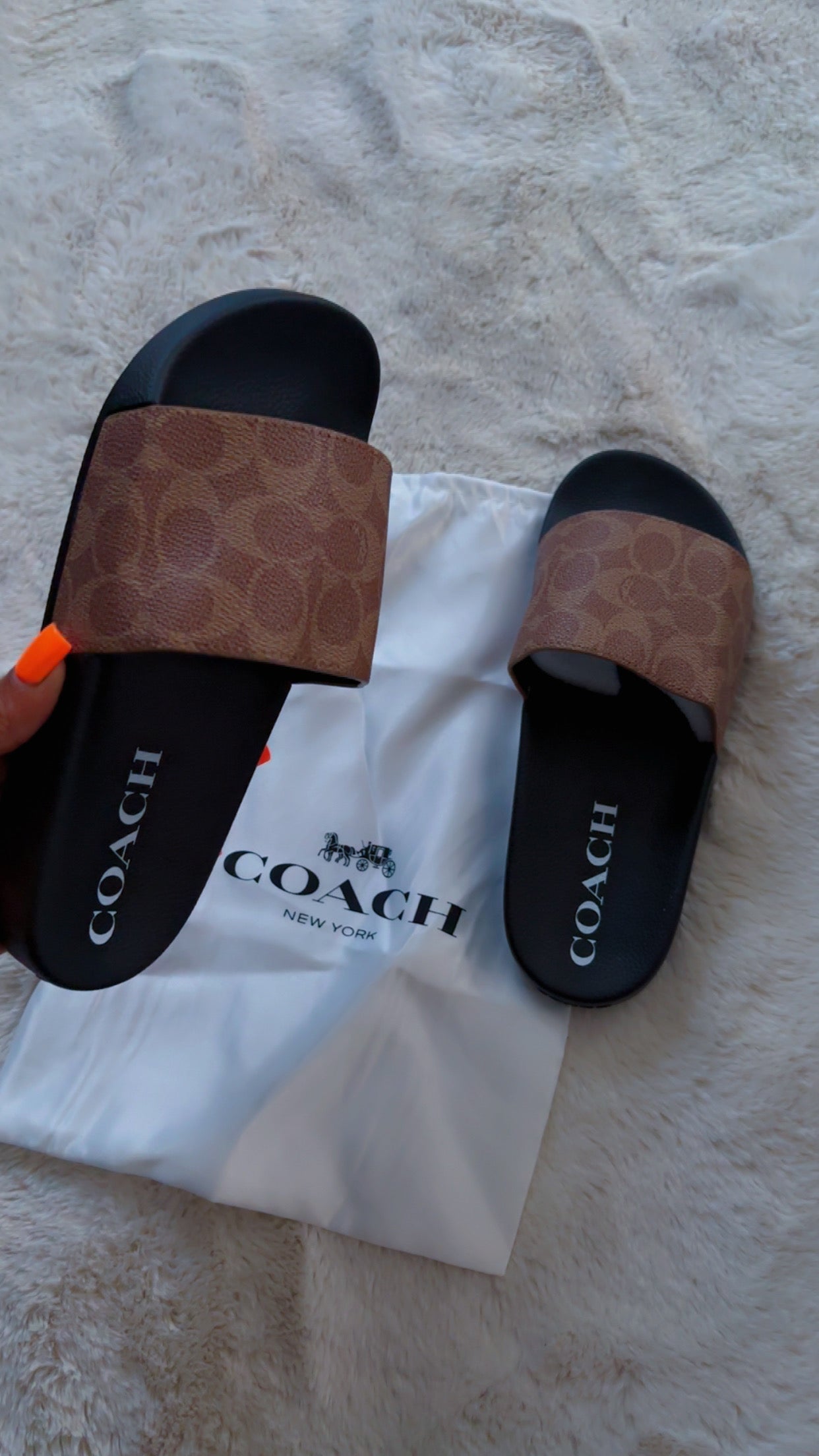 Coach slides
