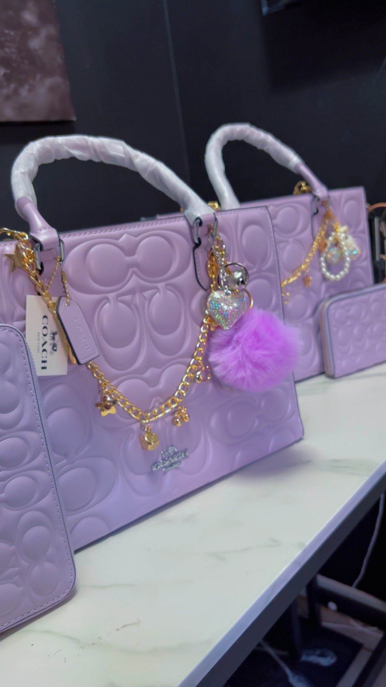 Coach tote set